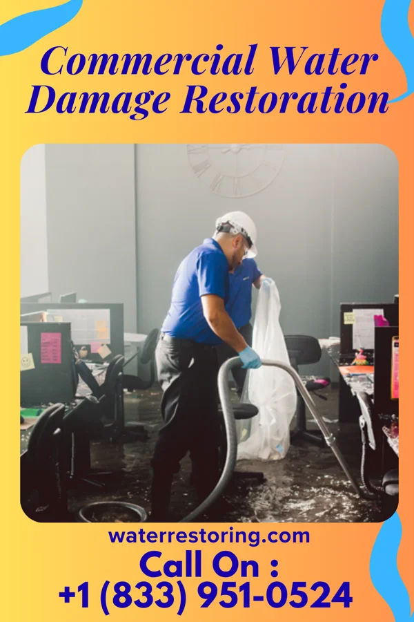 Commercial Water Damage Restoration in Chicora, PA