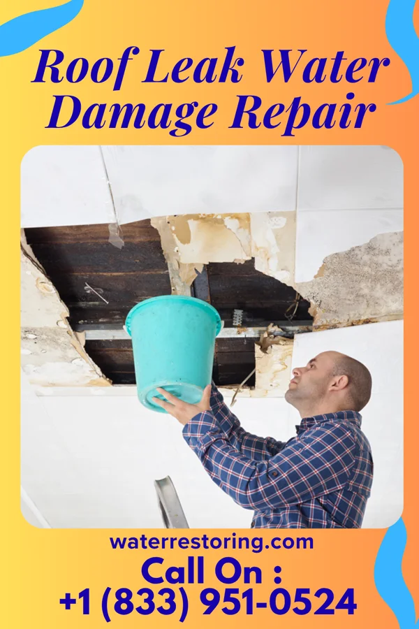 Roof Leak Water Damage Repair in Chicora, PA