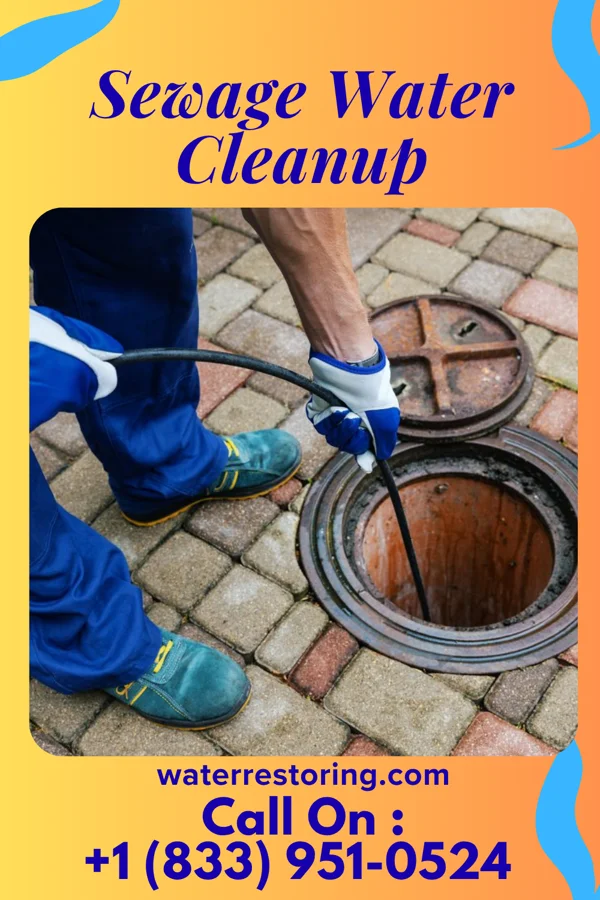 Sewage Water Cleanup in Chicora, PA
