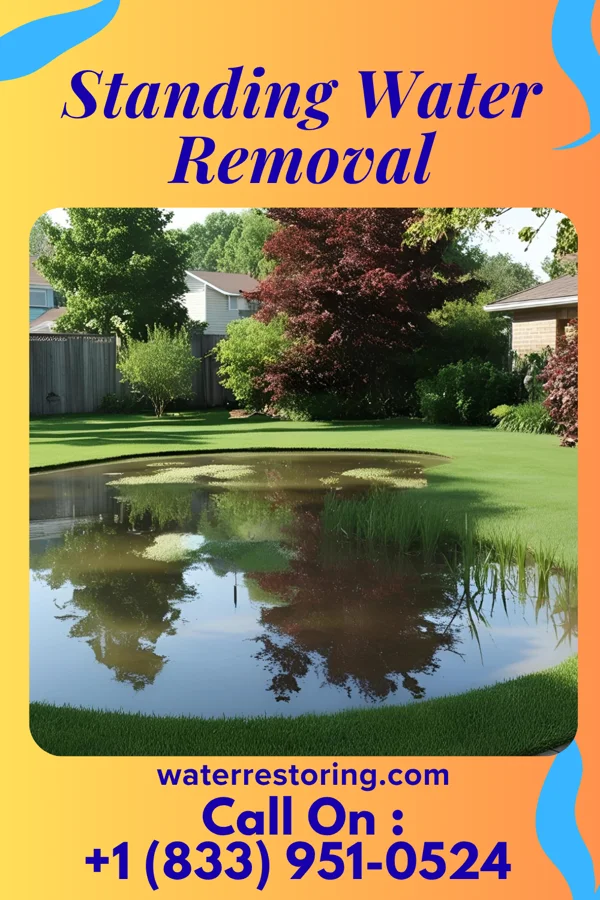 Standing Water Removal in Chicora, PA